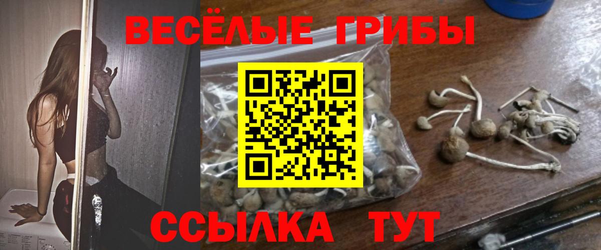 Анжеро-Судженск  Галлюциногенные грибы Psilocybe  Вход с VPN 